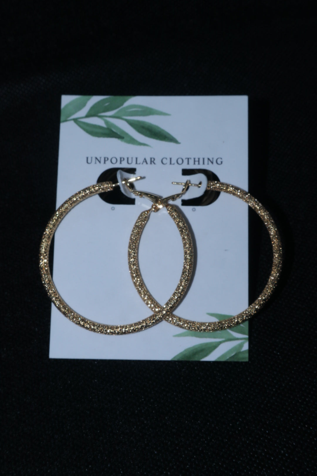 Taylor Hoops