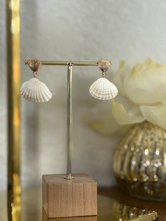 Shell Earring