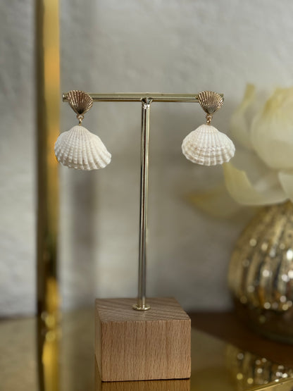 Shell Earring